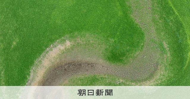 干上がるダム湖、行き場を失った「ラプラス」 東北で記録的少雨