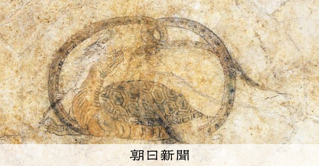 飛鳥美人や四神の玄武など公開へ 高松塚・キトラ両古墳の国宝壁画 [奈良県]：朝日新聞