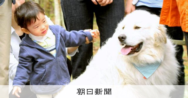 秋篠宮ご一家の相談役、悠仁さまにエール「専門分野の知識深めて」