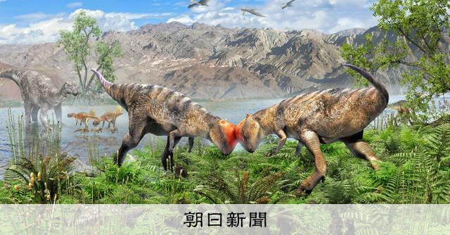 竜骨【中】恐竜 化石 詳細不明 竜骨【中】恐竜 化石 詳細不明 頭突き