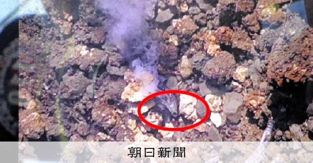 沖縄で不発弾爆発、けが人なし　民家解体中に「煙出ている」と通報