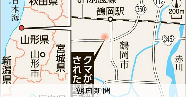 JR鶴岡駅近くの民家でクマを射殺 周辺は一時封鎖、山形