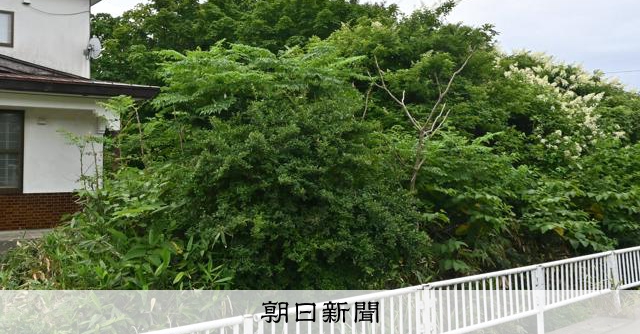 住宅街のヒグマ 足音だけで居場所探った夜 「1発で決めなければ」