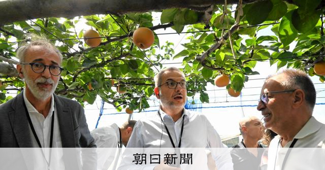 イタリアの生協関係者も千葉のナシに興味津々 [千葉県]：朝日新聞