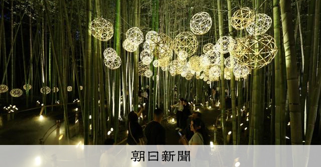 京都・嵐山　よみがえる竹あかり　住民らの手で4年ぶり　「月灯路」 [京都府]：朝日新聞
