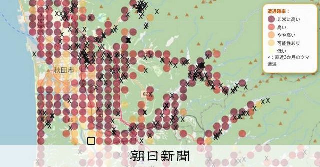 ⚠️くまさん専用アカウント⚠️ ネルキチカタフクマ🍀 (@nerutahu522) / Posts / X