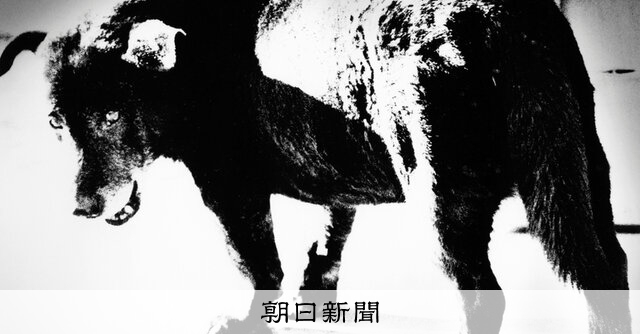 色んな匂いがする新宿、荒木経惟さんと歩いた 写真家・森山大道さん