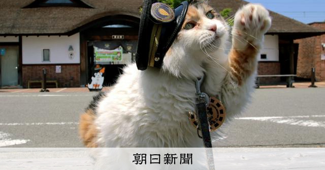 ニタマが休養、和歌山電鉄2代目の猫駅長「最近は食欲が落ちて…」