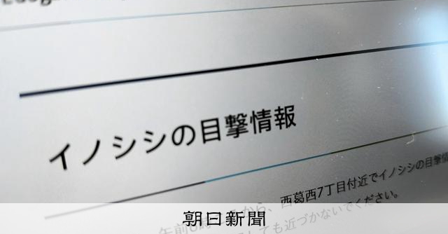 「イノシシが走っています」東京・葛西で目撃相次ぐ 区が注意喚起