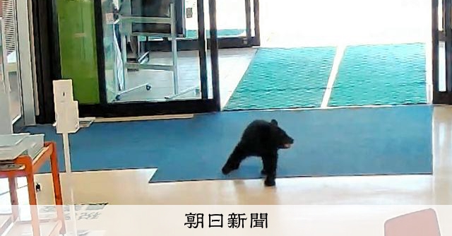 村役場にクマ、自動ドアから庁舎内へ 青森・西目屋村、けが人なし
