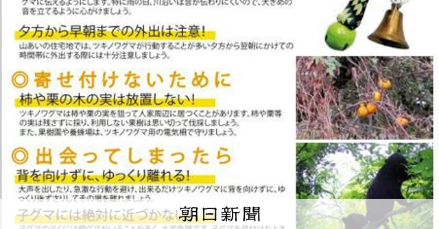 大阪でもクマ出没情報が増加中 今年度すでに19件、過去5年で最多