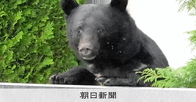 警察がライフルでクマ駆除へ、テロ対策の部隊派遣 県からは苦労の声