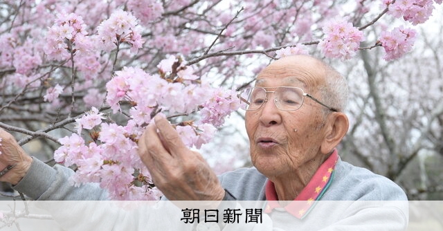 佐野藤右衛門さん死去 造園家、京都の「桜守」：朝日新聞
