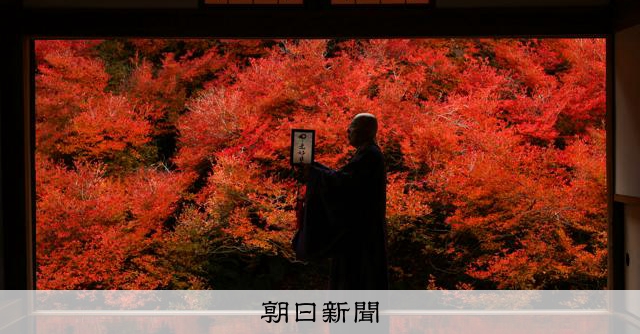 ふすまの先に広がる紅葉 安国禅寺でドウダンツツジが見頃 兵庫 [兵庫県