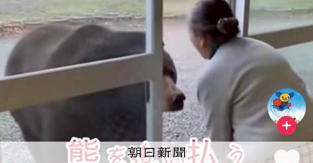 画像が削除されました