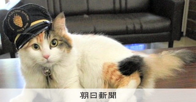和歌山電鉄2代目猫駅長のニタマ逝く、最後に「ニャー」 12月社葬