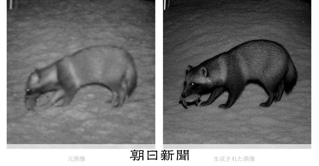 画像が削除されました