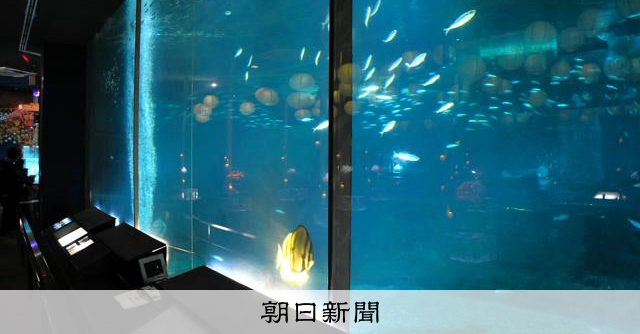 マイワシの回遊もサンタダイバーも 愛知・美浜町の大水槽、閉鎖へ