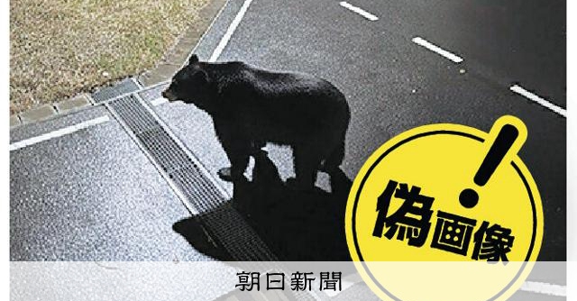 AIも自治体も見破れなかった「偽クマ」画像 発端は「内輪の遊び