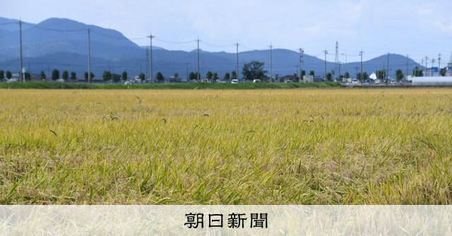 コメ5キロ平均価格4321円、3週ぶり値下がり 銘柄米下落で