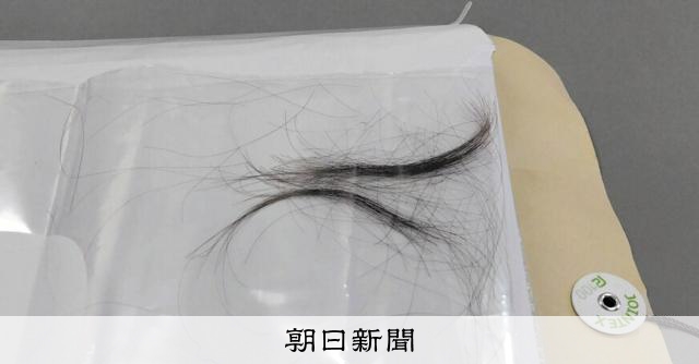 被爆死した13歳少女、80年ぶり身元判明　骨つぼの遺髪DNA鑑定 [広島県] [戦後80年　被爆80年]：朝日新聞