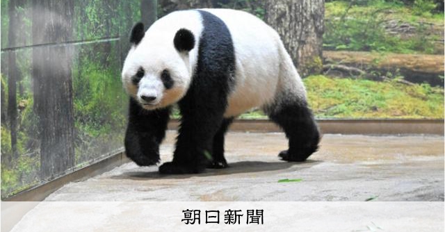 上野動物園、パンダ「ゼロ」に嘆き続々 「泣きそう」「寂しい」