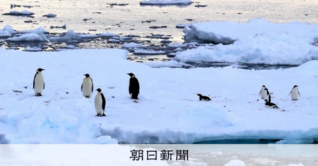 南極観測船しらせの計画を変更 かつてない乱氷と海氷融解進む [南極と