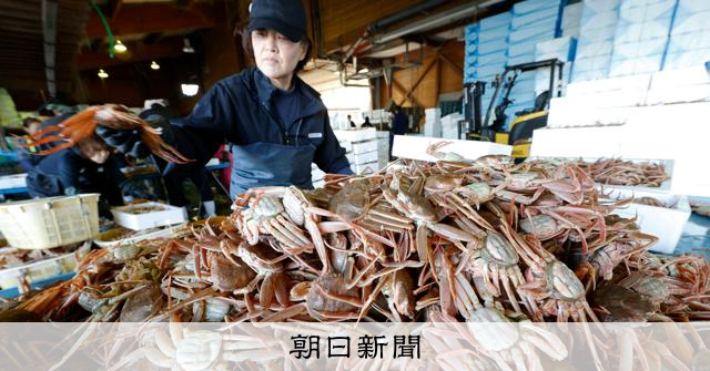 カニ水揚げ、漁港は仮設備　温泉街再建、まだ時間　能登半島地震2年