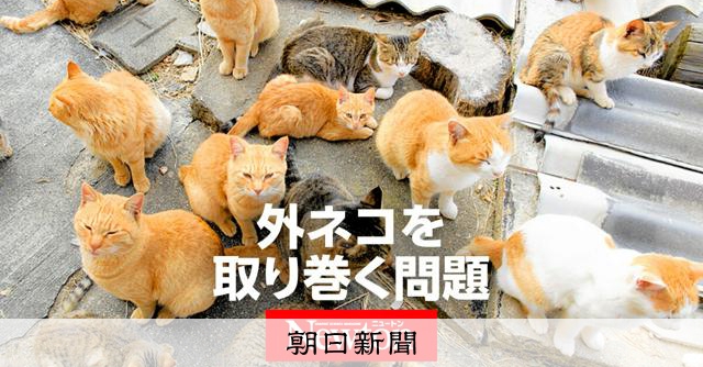 国内100万頭超の屋外ネコ 「国家レベルの多頭飼育崩壊」と専門家：朝日新聞