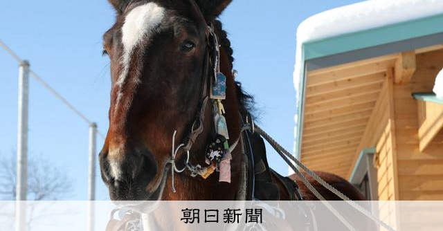 帯広・パン屋にできる馬牧場、日常に馬がいる風景へ