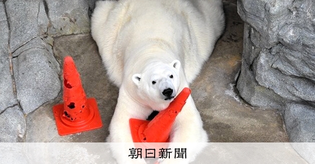 GAOに共感ストーリー賞 CFアワード2025で評価 秋田 [秋田県]：朝日新聞