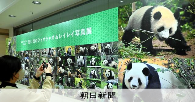 もうすぐお別れ、シャオシャオ・レイレイ企画始まる 松坂屋上野店