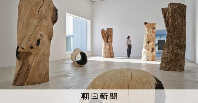 国松希根太展、十和田で朽ち木が語る森