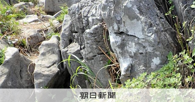 国の天然記念物の石灰岩、ハンマーで割られたか　愛知・豊橋の石巻山