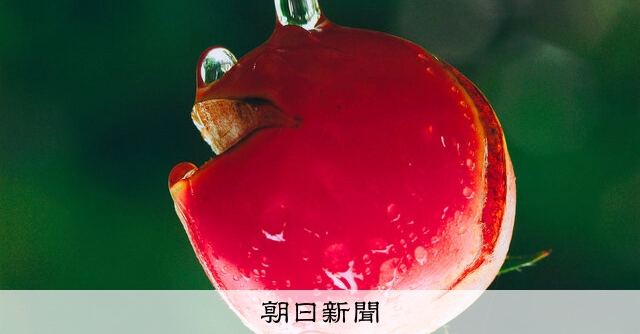 語りかけてくる一瞬 第86回国際写真サロン：朝日新聞