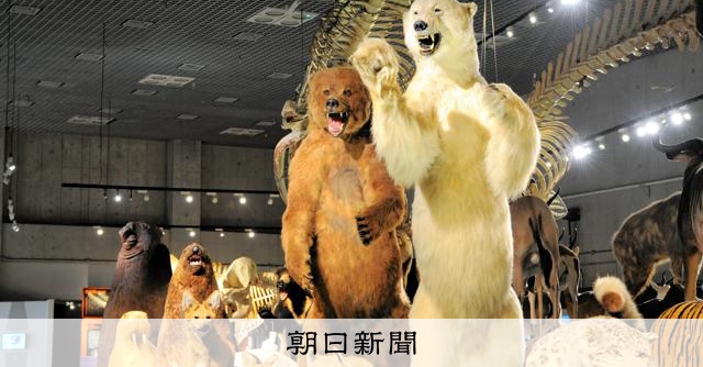 訪日客に「二重価格」国立博物館など導入へ　財務省、閉館も含め圧力：朝日新聞