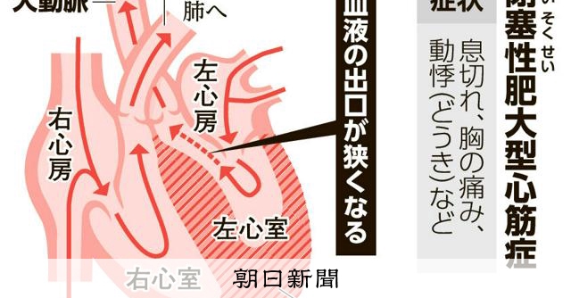 新・心臓病診療プラクティス 15　血管疾患を診る・治す 小室 一成 心不全の治療や薬、予防をわかりやすく伝える 患者を救うために学会が