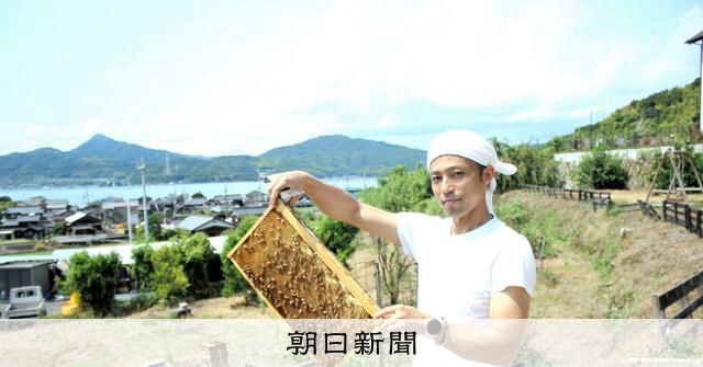 はちみつの巣箱オーナー募集 瀬戸内の島「自然や食を考える機会に
