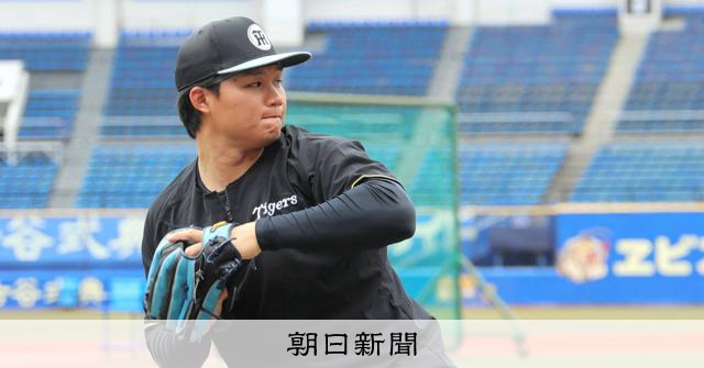 阪神、WBC組3人が即スタメン 森下翔太「背中で引っ張る選手に」 - WBC