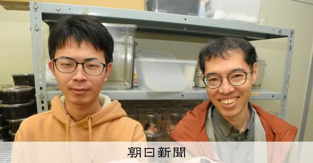 カブトムシのメス、一生に1度だけの交尾とは