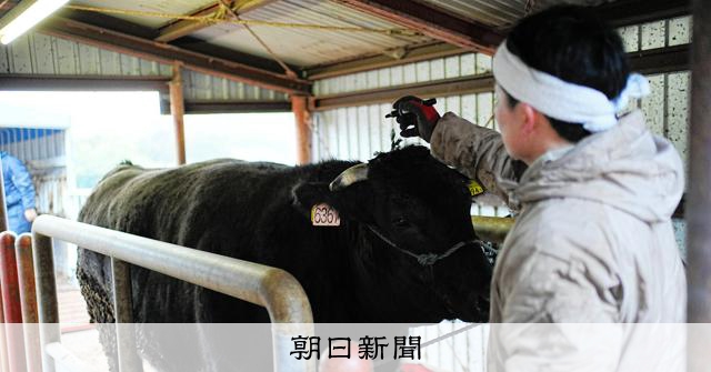 牛の体重、アプリ使って0.2秒計測　丸紅が開発、総合商社がなぜ？