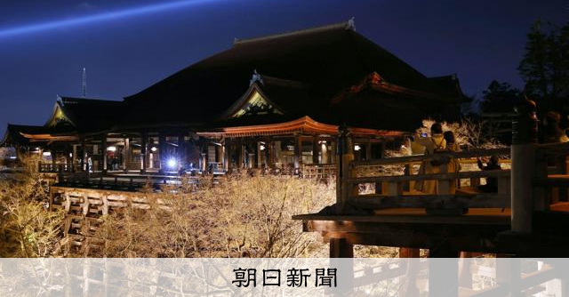 幻想的な光に包まれる桜のライトアップ