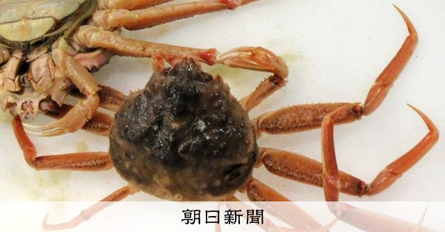 豊洲の有名仲卸　割安なカニを「ズワイガニ」表示、農水省が是正指示