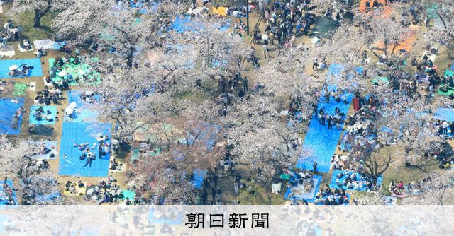 3月末の咲き具合は　空から見た桜の名所 
 
東京で満開を観測した桜（ソメイヨシノ）。絶好のお花見日和となった29日、都内を中心に桜の名所を朝日新聞社ヘリから撮影しました。