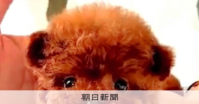 画像が削除されました