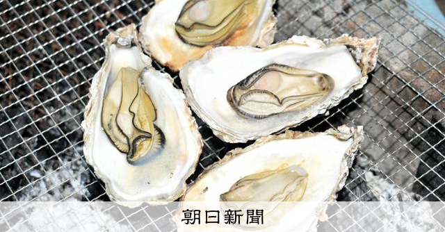 瀬戸内海のカキ大量死、高水温や酸欠など原因　「過密」見直す動きも 
 
瀬戸内海の養殖カキの大量死問題を受け、原因や対策を話し合う有識者会議の会合が、広島県庁であった。