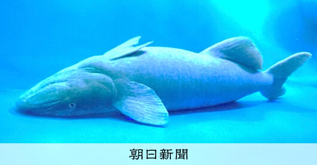 AS20260407005330_comm.jpg