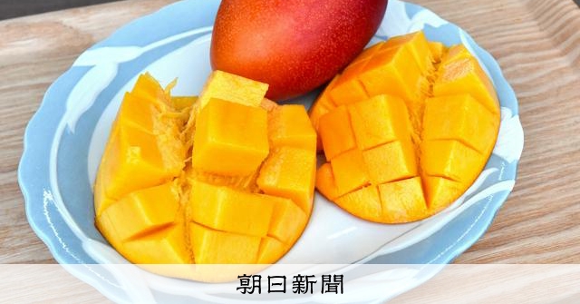 真っ赤な甘み濃厚マンゴー、秘訣はネット 燃料高に負けずトロピカル