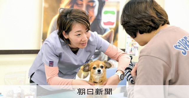 災害時にペットの守り方知って　犬猫向け「整体」も　横浜で19日：朝日新聞