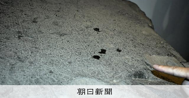 薬師寺の国宝「仏足石」に液体の跡　文化財保護法違反容疑で捜査